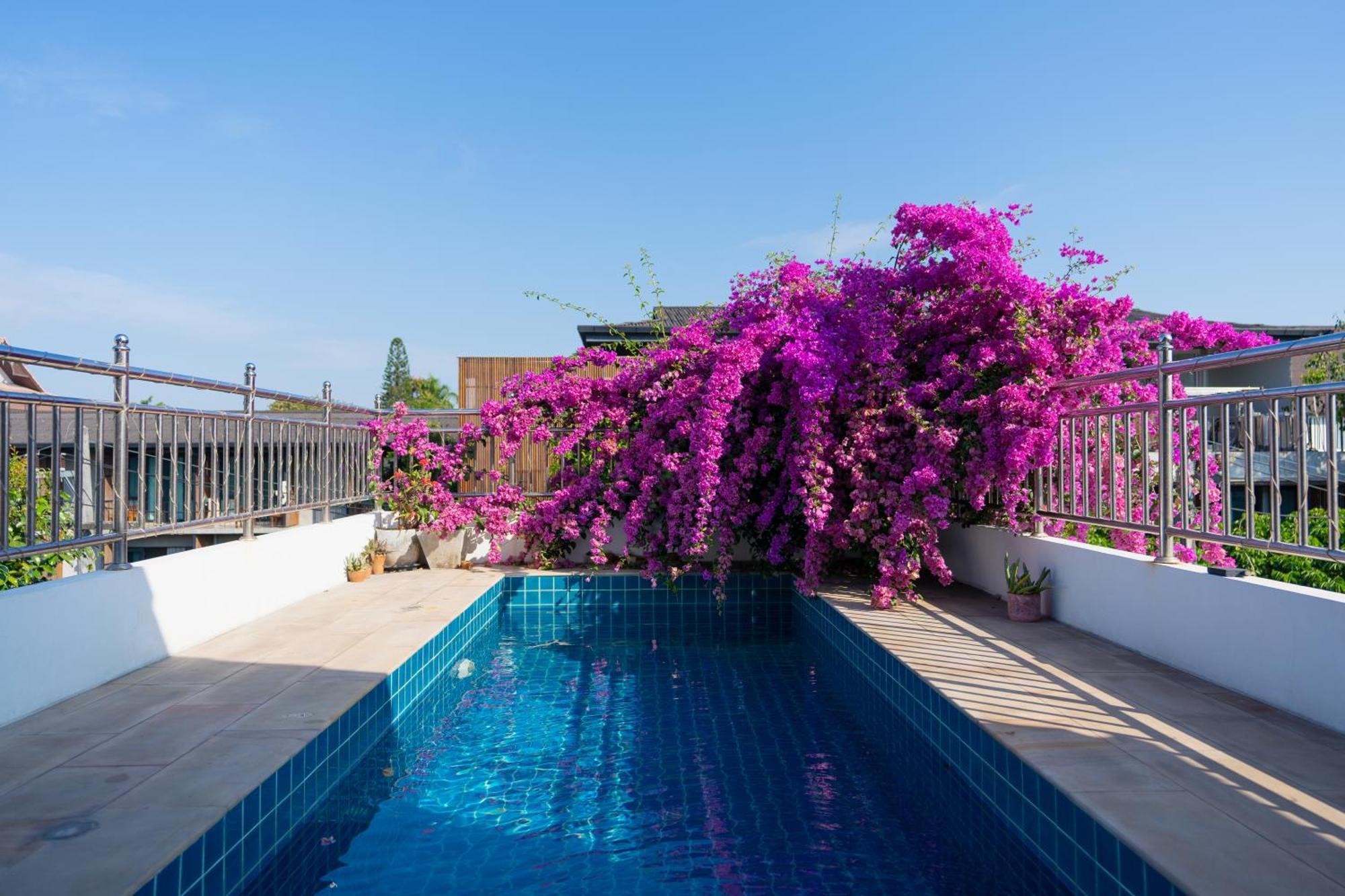 Mammoth Art Studio Pool Villa In Old City Chiang Mai Exterior foto